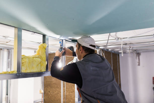 Best Cellulose Insulation in Gypsum, CO